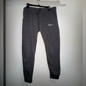 Delta Phi Epsilon (dphie) MV Sport Gray Jogger Sweatpants